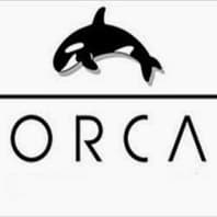 Logo Company Orca Logic Ltd on Cloodo