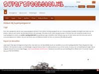Logo Company Superspeelgoed.nl on Cloodo