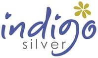 Logo Company Indigo Silver on Cloodo