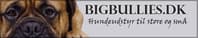 Logo Company Bigbullies aps on Cloodo