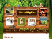 Logo Company LittleBigPet on Cloodo