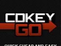 Logo Company CDKeyGo.com on Cloodo