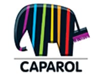 Logo Company Caparol NL on Cloodo