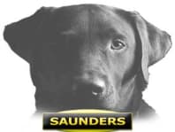 Logo Company Saunders on Cloodo