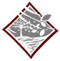Logo Company Cherry Tree Design on Cloodo