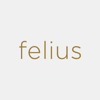 Logo Company Felius Design on Cloodo