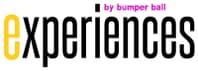 Logo Company Bumper Ball | Experiences on Cloodo