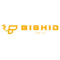 Logo Company Bigkidgaming on Cloodo