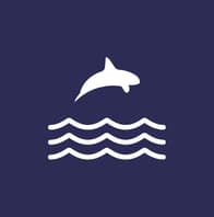 Logo Company Orca Money on Cloodo