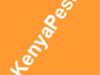 Logo Company Kenyapesa on Cloodo