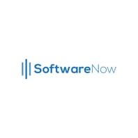 Logo Project SoftwareNow.dk