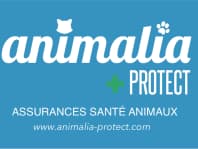 Logo Company ANIMALIA PROTECT - mutuelle santé chien chat on Cloodo
