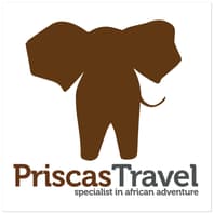 Logo Agency Priscastravel on Cloodo