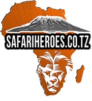 Logo Company Safariheroes on Cloodo