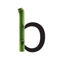 Logo Company Bamboo Auctions on Cloodo