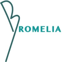Logo Of Bromelia Brazil Travel
