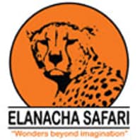 Logo Agency ELANACHA SAFARI on Cloodo