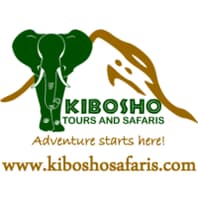 Logo Company Kibosho Tours & Safaris on Cloodo