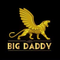 bigdaddy.in 