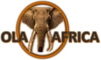 Logo Company Ola Africa Travel on Cloodo