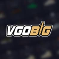 Logo Project VGOBig