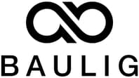 Logo Project Baulig Consulting GmbH