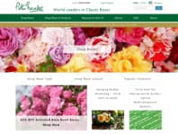 Pests and Diseases  Peter Beales Roses - the World Leaders in Shrub,  Climbing, Rambling and Standard Classic Roses