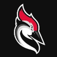 Logo Company Woodpecker.co on Cloodo