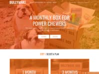 BullyMake Subscription Box Review - May 2016 - Hello Subscription