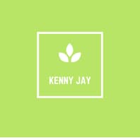 Logo Agency Kennyjasper on Cloodo