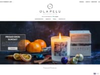 Logo Company OlaPelu on Cloodo