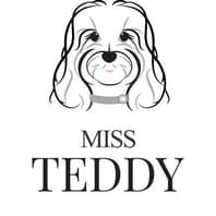 Logo Company Miss Teddy on Cloodo