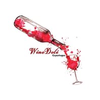 Logo Company Winedeli on Cloodo