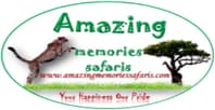 Logo Agency Amazing Memories Safaris on Cloodo