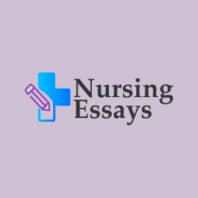top uk nursing essay writers