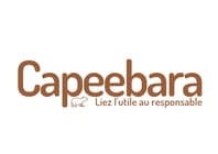 Logo Agency Capeebara on Cloodo