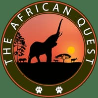 Logo Of theafricanquest.com