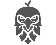 Logo Company BaldEagles Apparel on Cloodo