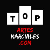Logo Project Top Artes Marciales