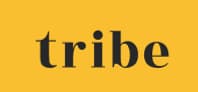 Logo Agency Tribe Funding on Cloodo