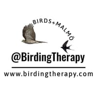 Logo Company Birding Therapy / Fagelterapi on Cloodo