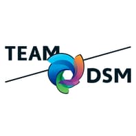 Logo Company Team DSM Official Store on Cloodo