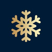 Logo Company WinterVibes on Cloodo
