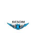 Logo Company KESOM FREIGHT INTERNATIONAL on Cloodo