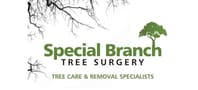 Logo Company Special Branch Tree Surgery on Cloodo