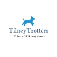 Logo Company TilneyTrotters on Cloodo