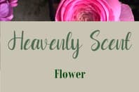 Logo Company Heavenly Scent Flower on Cloodo