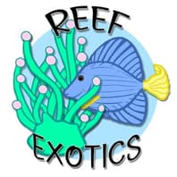 Logo Company Reefexotics on Cloodo