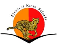 flexivel kenya safaris reviews