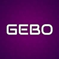 GEBO Game 